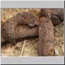 Mellinus arvensis - Kotwespe 01 auf Kothaufen - Sandgrube Niedringhaussee.jpg